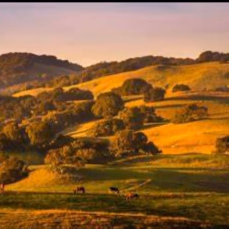 Green Farmer’s photo 2