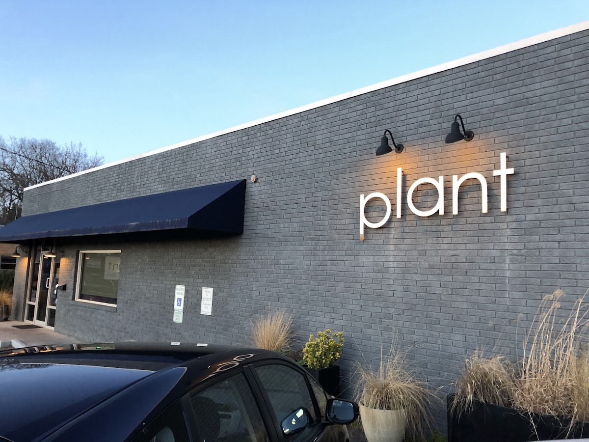 plant