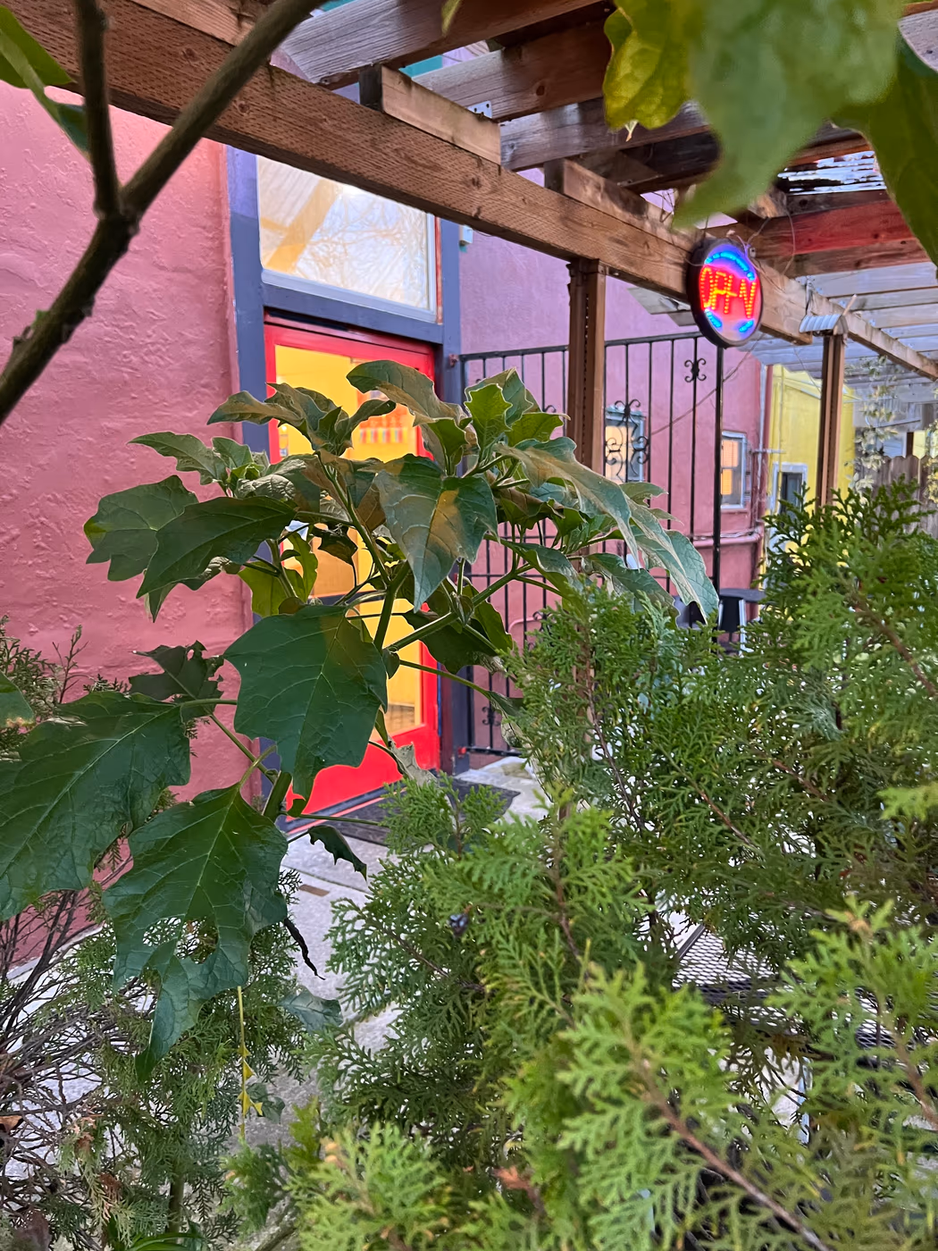 Shangri-La Vegan On Linden photo 2